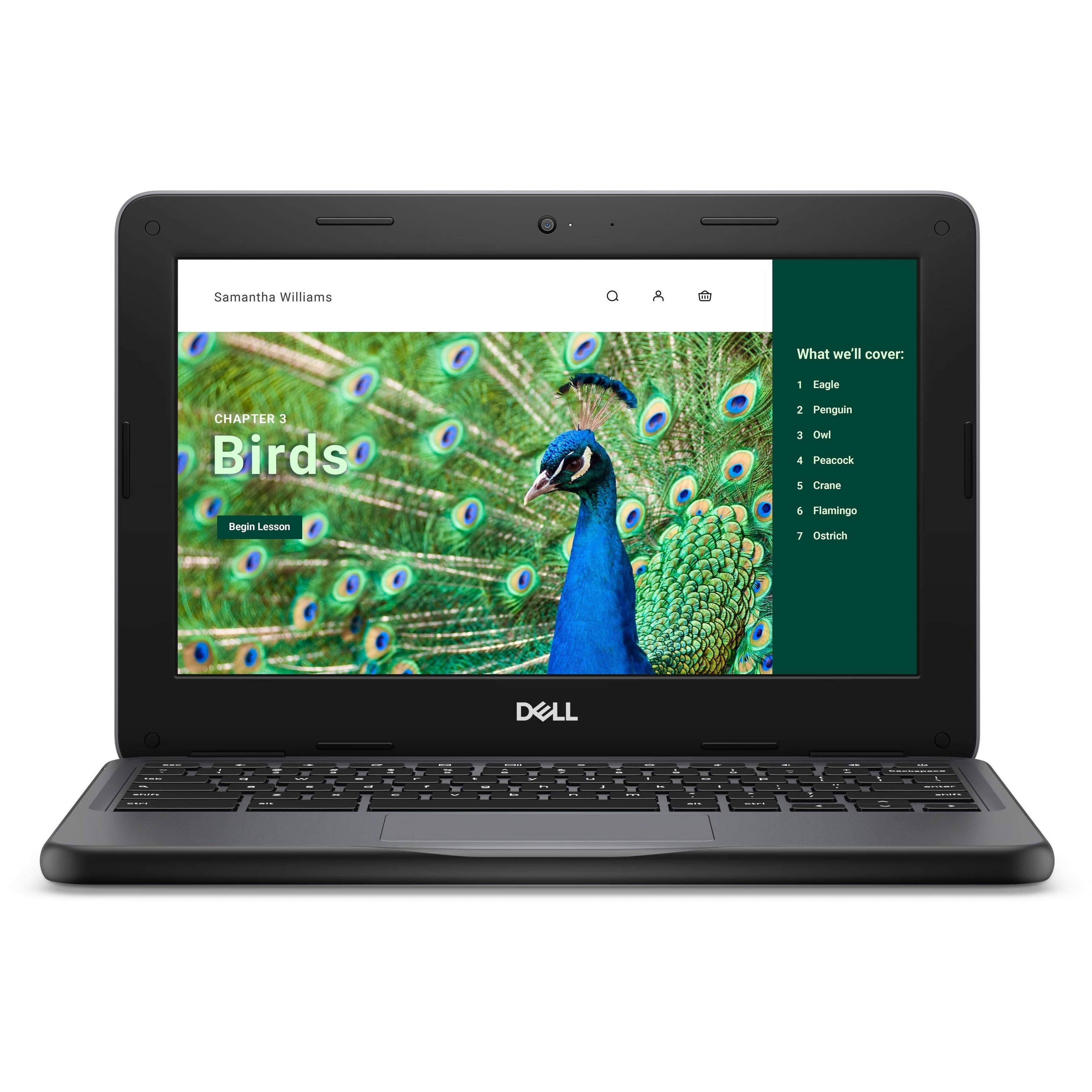 Dell Chromebook 3000 3120 11.6" Touchscreen Convertible 2 in 1 Chromebook - HD - 60 Hz - Intel N-Series N100 - 4 GB - 64 GB Flash Memory - English (US) Keyboard - Gray - Intel Chip - 1366 x 768 - ChromeOS - Intel UHD Graphics - In-plane Switching (IPS) Technology - Front Camera/Webcam - IEEE 802.11ax Wireless LAN Standard