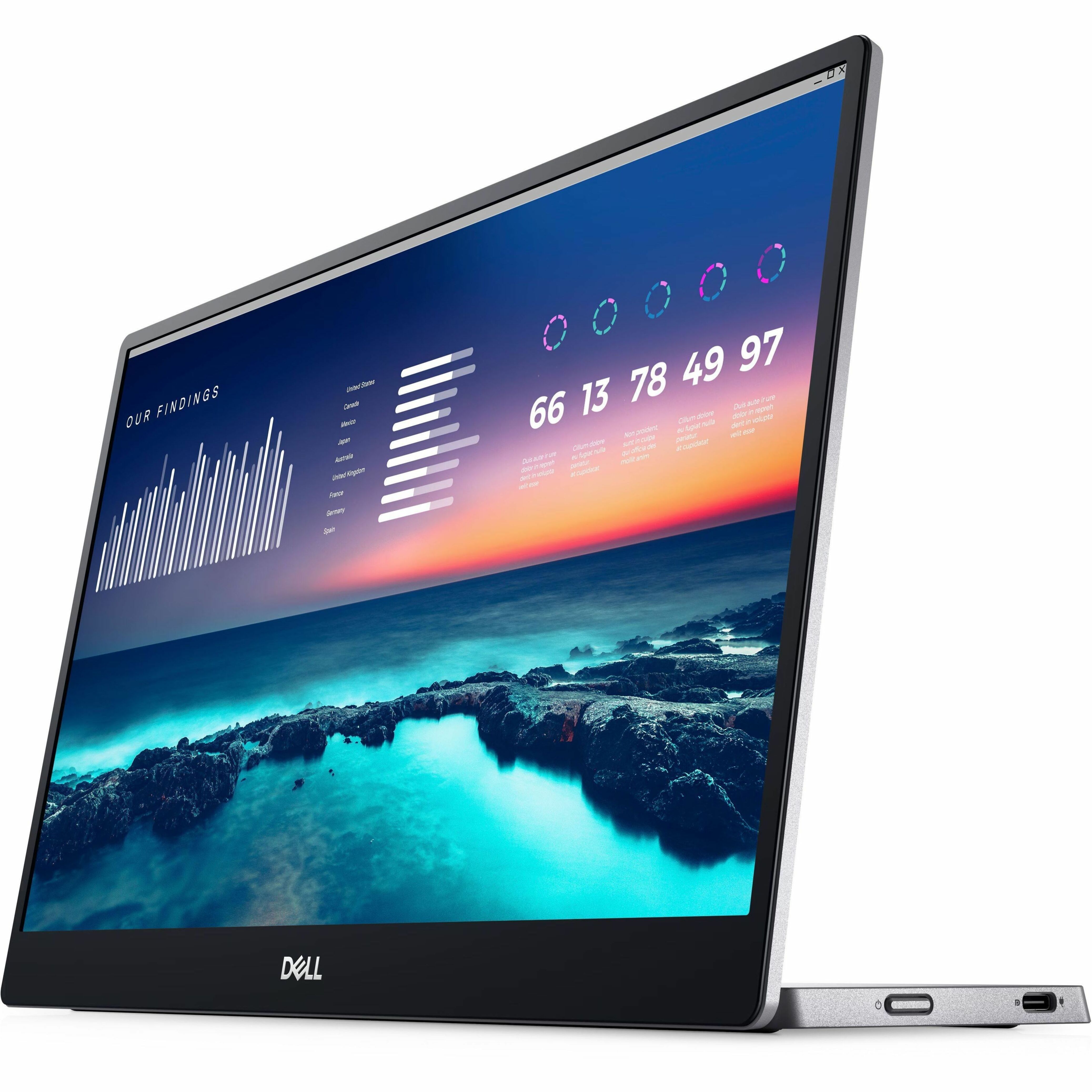 P1424H 14" Class Full HD LED Monitor